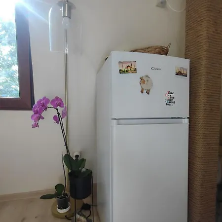 Apartment Dream Loft In The Center Of Varna